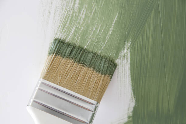 Best Water Damage & Mold Remediation  in Halls, TN