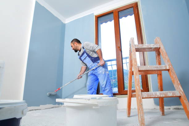 Best Forensic Mold Investigation  in Halls, TN