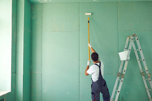 Best Basement Mold Removal  in Halls, TN