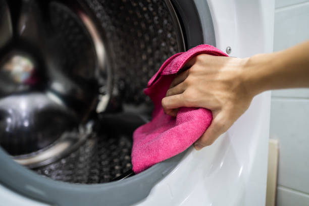 Best Mold Damage Restoration  in Halls, TN