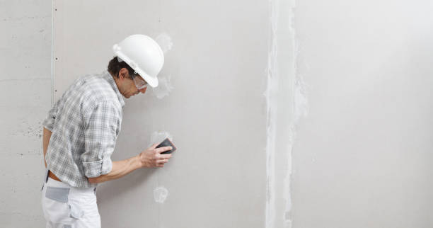 Best Post-Construction Mold Inspection  in Halls, TN