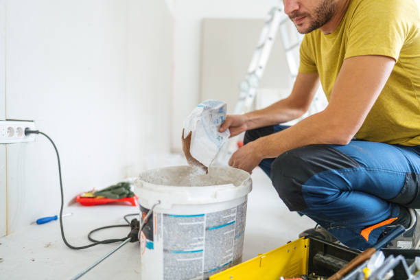 Best Emergency Mold Remediation  in Halls, TN