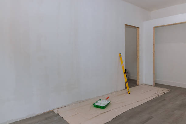 Best Dehumidification Services  in Halls, TN
