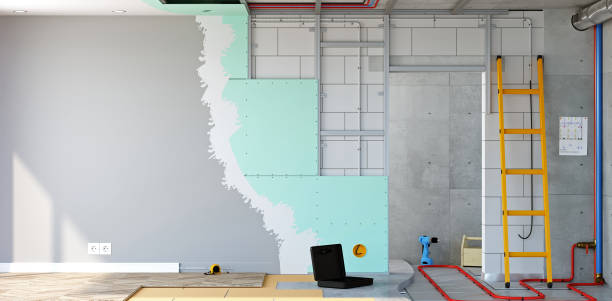 Best Comprehensive Air Testing for Mold Contaminants  in Halls, TN