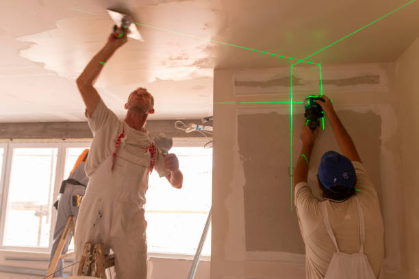 Best Mold Documentation for Insurance Claims  in Halls, TN